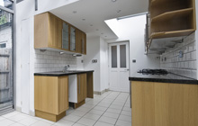 Henton kitchen extension leads